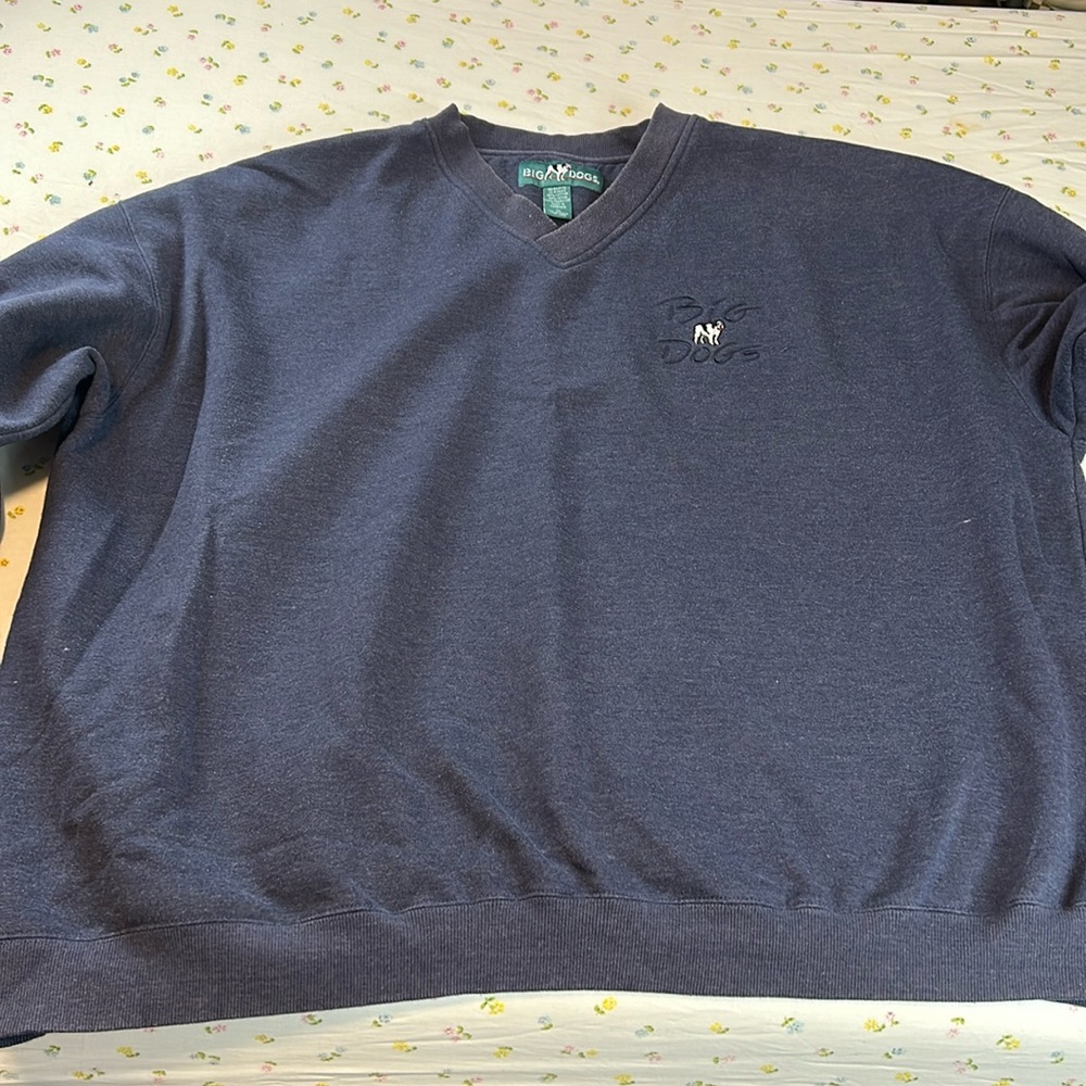 Big dogs blue sweatshirt